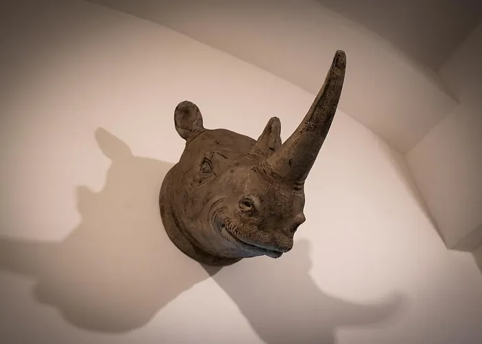 Rhino Apartment