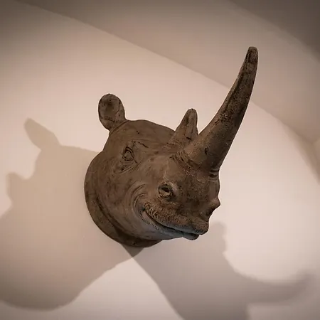Rhino アパート